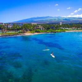 a flock of birds flying over a body of water