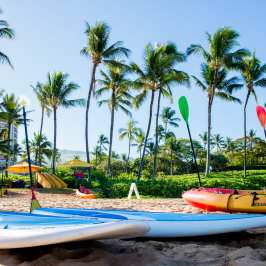 SUP and kayaks on beach
