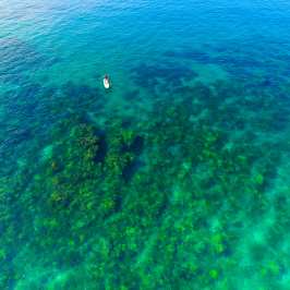 person on SUP in the ocean