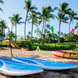 SUP and kayaks on beach