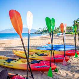 a group of colorful vases sitting on top of a sandy beach