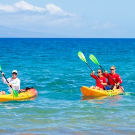 people on kayaks near a beach