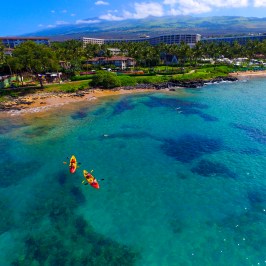 people on kayaks near the beach
