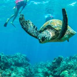 a statue of a bird in the water