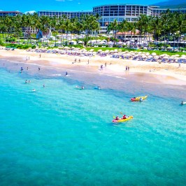 a group of people swimming in the water