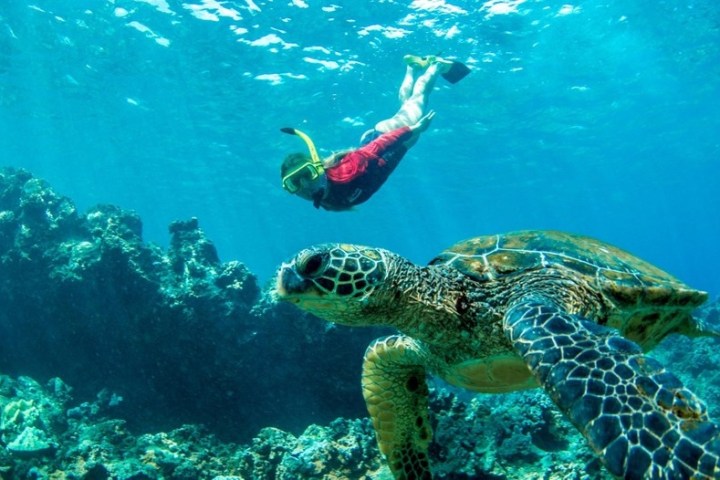 a person in a pool of water